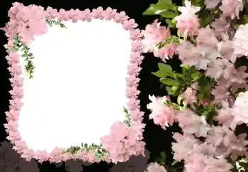 Photo effect from category Women's photo frames № 31824