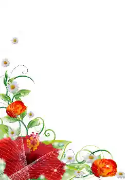 Photo effect from category Women's photo frames № 31839