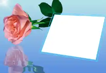 Photo effect from category Women's photo frames № 32721