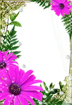 Photo effect from category Women's photo frames № 32733