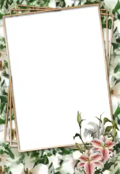 Photo effect from category Women's photo frames № 33703