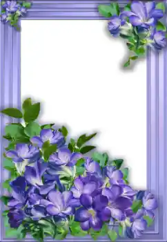 Photo effect from category Women's photo frames № 33733