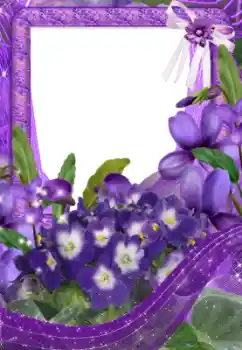 Photo effect from category Women's photo frames № 33734