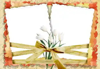 Photo effect from category Women's photo frames № 33847