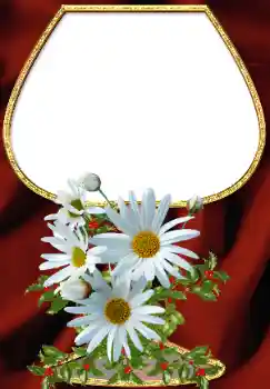 Photo effect from category Women's photo frames № 34708