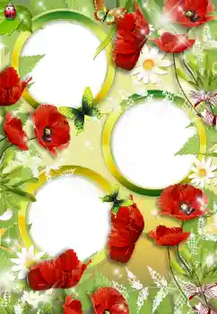 Photo effect from category Women's photo frames № 34748