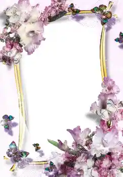 Photo effect from category Women's photo frames № 3488