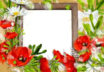 Photo effect from category Women's photo frames № 3491
