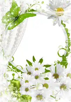 Photo effect from category Women's photo frames № 3493