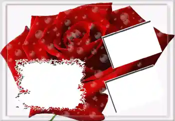 Photo effect from category Women's photo frames № 3592