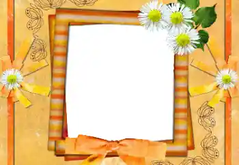 Photo effect from category Women's photo frames № 36135