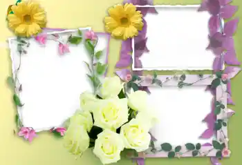 Photo effect from category Women's photo frames № 37138