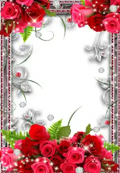 Photo effect from category Women's photo frames № 40341