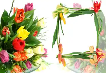 Photo effect from category Women's photo frames № 40387