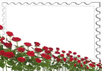 Photo effect from category Women's photo frames № 4162