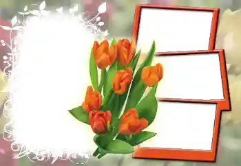 Photo effect from category Women's photo frames № 42603