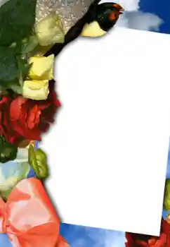 Photo effect from category Women's photo frames № 42754