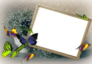 Photo effect from category Women's photo frames № 43592