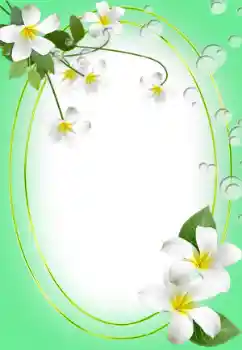 Photo effect from category Women's photo frames № 45823