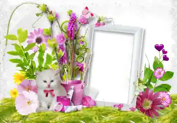 Photo effect from category Women's photo frames № 45889