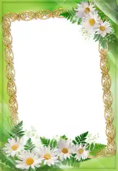 Photo effect from category Women's photo frames № 45904