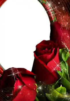 Photo effect from category Women's photo frames № 4603