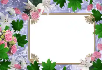 Photo effect from category Women's photo frames № 47030