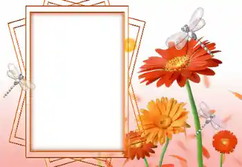 Photo effect from category Women's photo frames № 47199