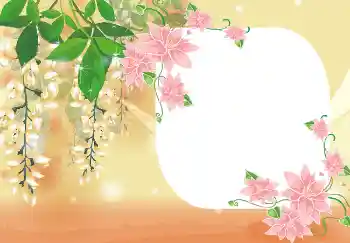 Photo effect from category Women's photo frames № 4893