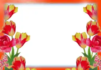 Photo effect from category Women's photo frames № 49414