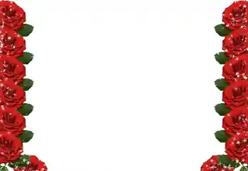 Photo effect from category Women's photo frames № 49424