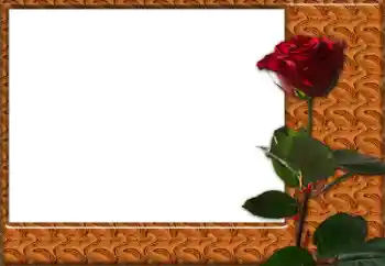 Photo effect from category Women's photo frames № 49427