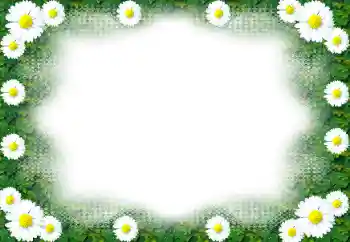 Photo effect from category Women's photo frames № 49443