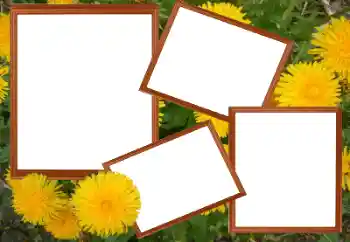 Photo effect from category Women's photo frames № 49448