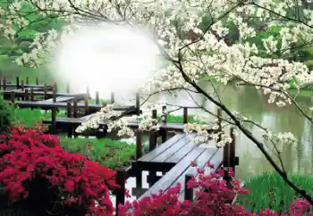 Photo effect from category Women's photo frames № 50653