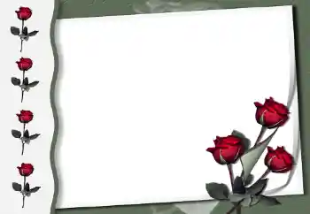 Photo effect from category Women's photo frames № 50854