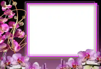 Photo effect from category Women's photo frames № 50856