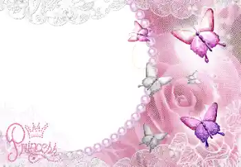 An inscription on the frame: Princess