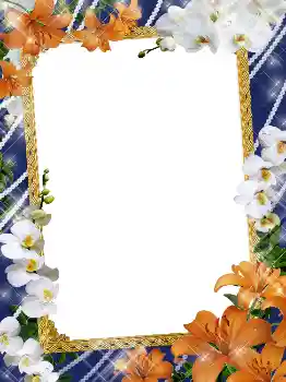 Photo effect from category Women's photo frames № 5141