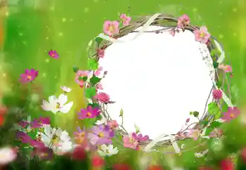 Photo effect from category Women's photo frames № 52077