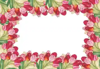 Photo effect from category Women's photo frames № 52090