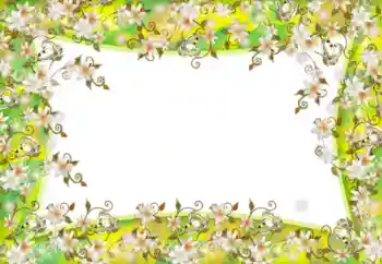 Photo effect from category Women's photo frames № 52181