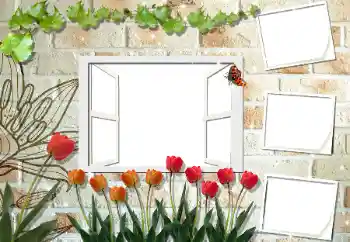 Photo effect from category Women's photo frames № 53297