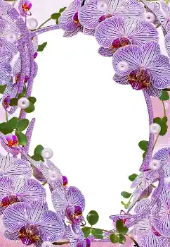 Photo effect from category Women's photo frames № 5465