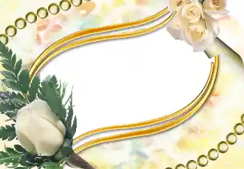 Photo effect from category Women's photo frames № 5504