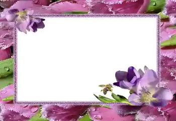 Photo effect from category Women's photo frames № 5506