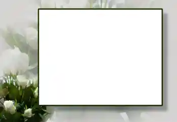 Photo effect from category Women's photo frames № 55444