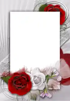 Photo effect from category Women's photo frames № 55454