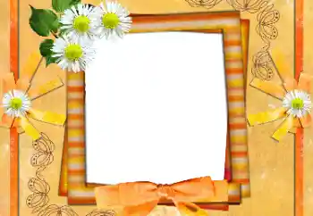 Photo effect from category Women's photo frames № 55469
