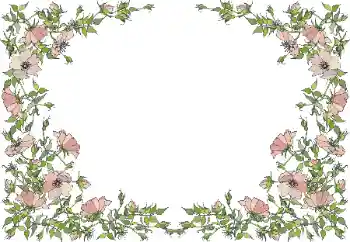 Photo effect from category Women's photo frames № 55495